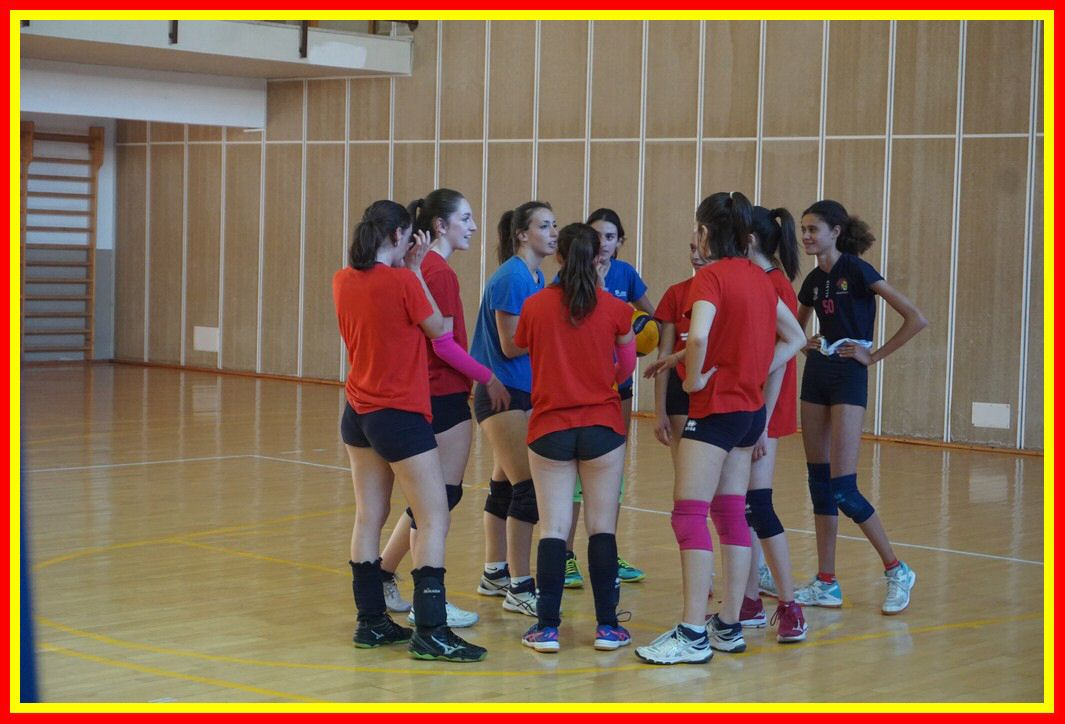 DSC04080_tn.jpg