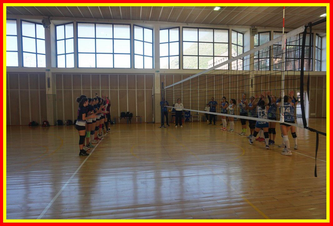 DSC04106_tn.jpg