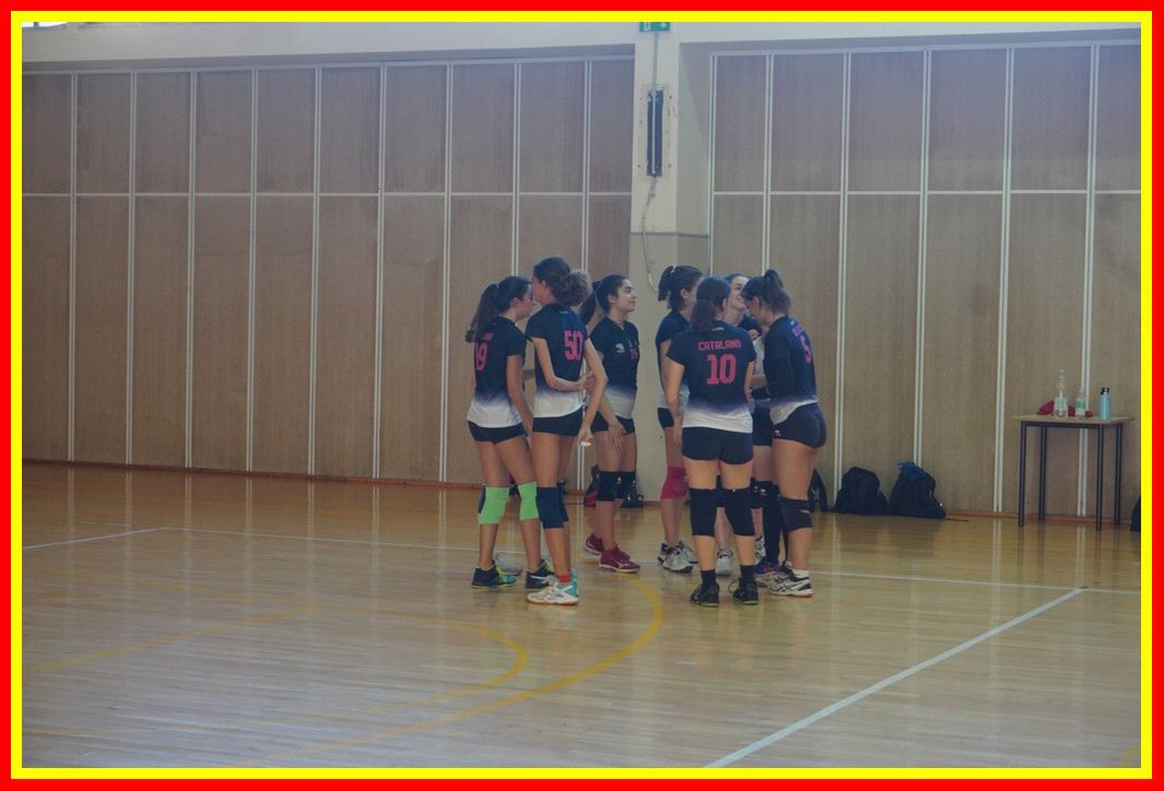 DSC04110_tn.jpg