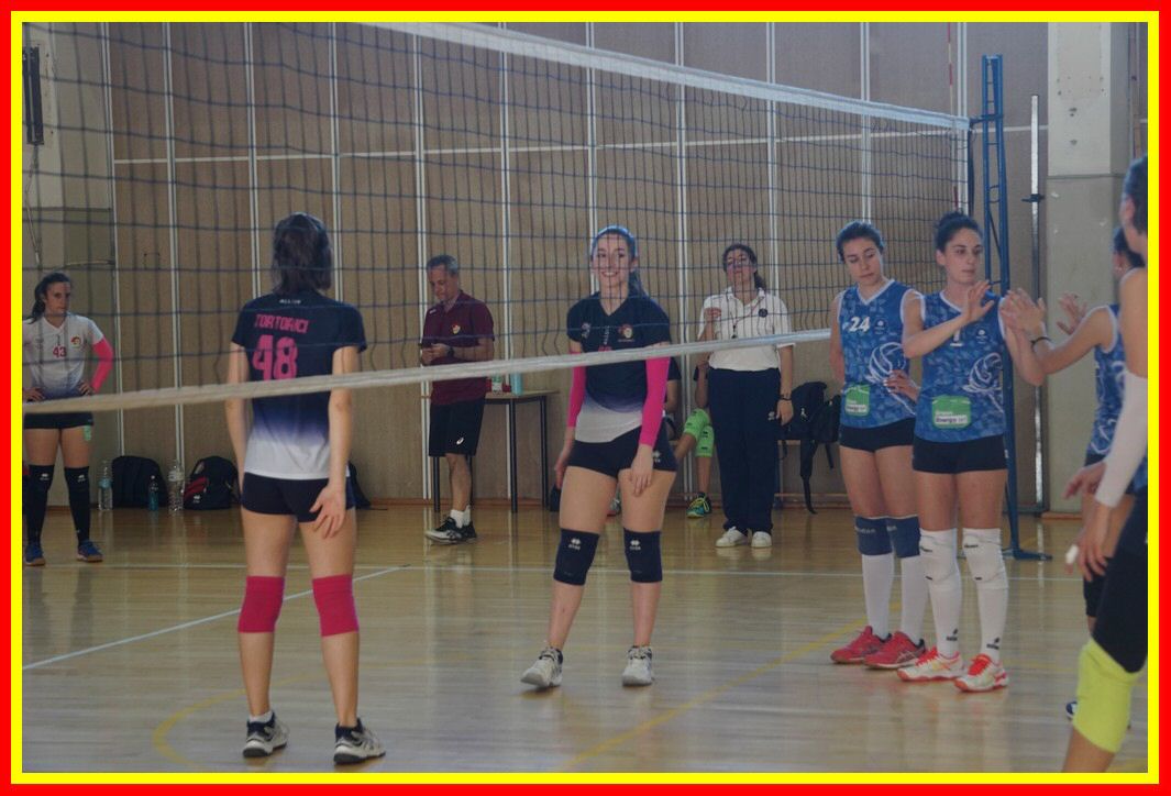 DSC04116_tn.jpg