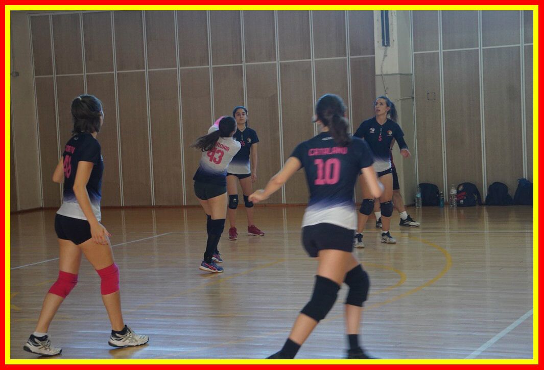 DSC04131_tn.jpg