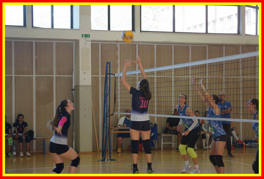 DSC04136_tn.jpg