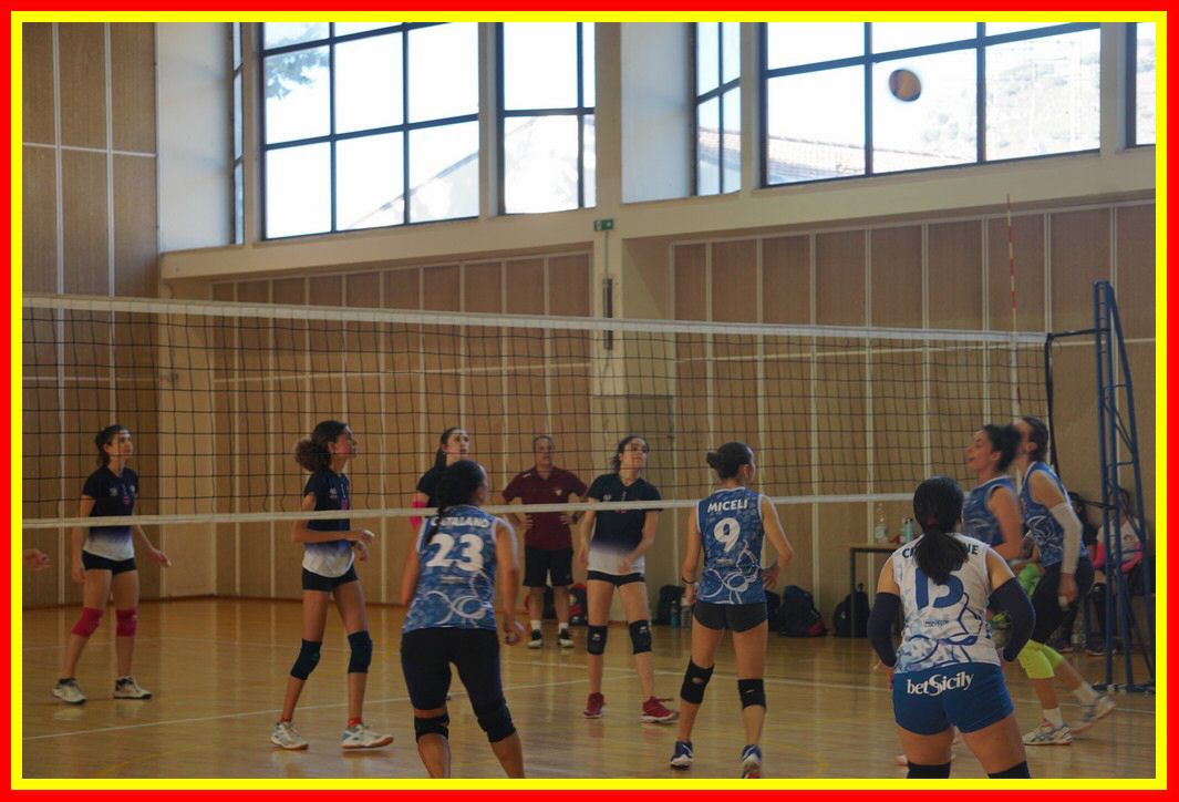 DSC04142_tn.jpg