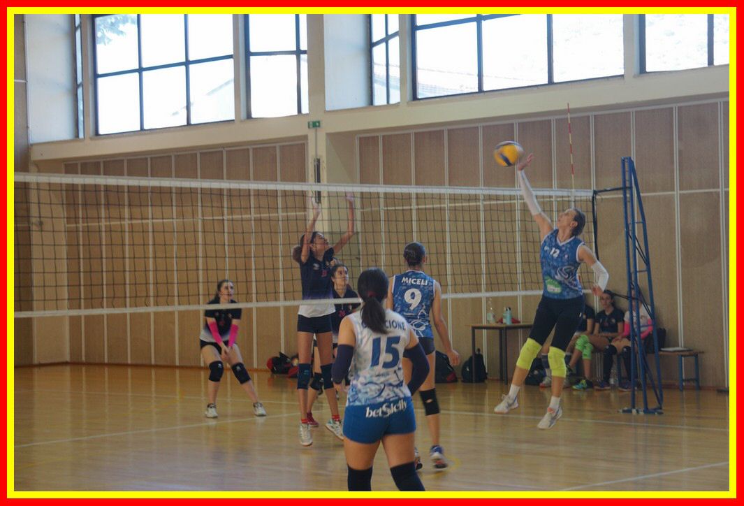 DSC04143_tn.jpg