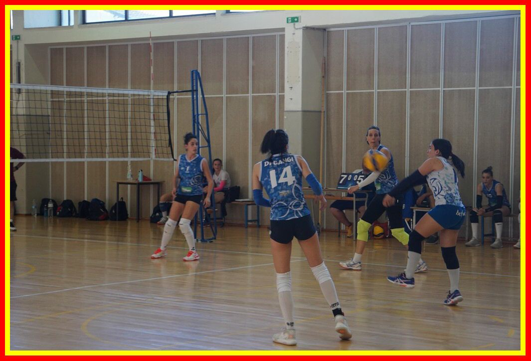 DSC04146_tn.jpg