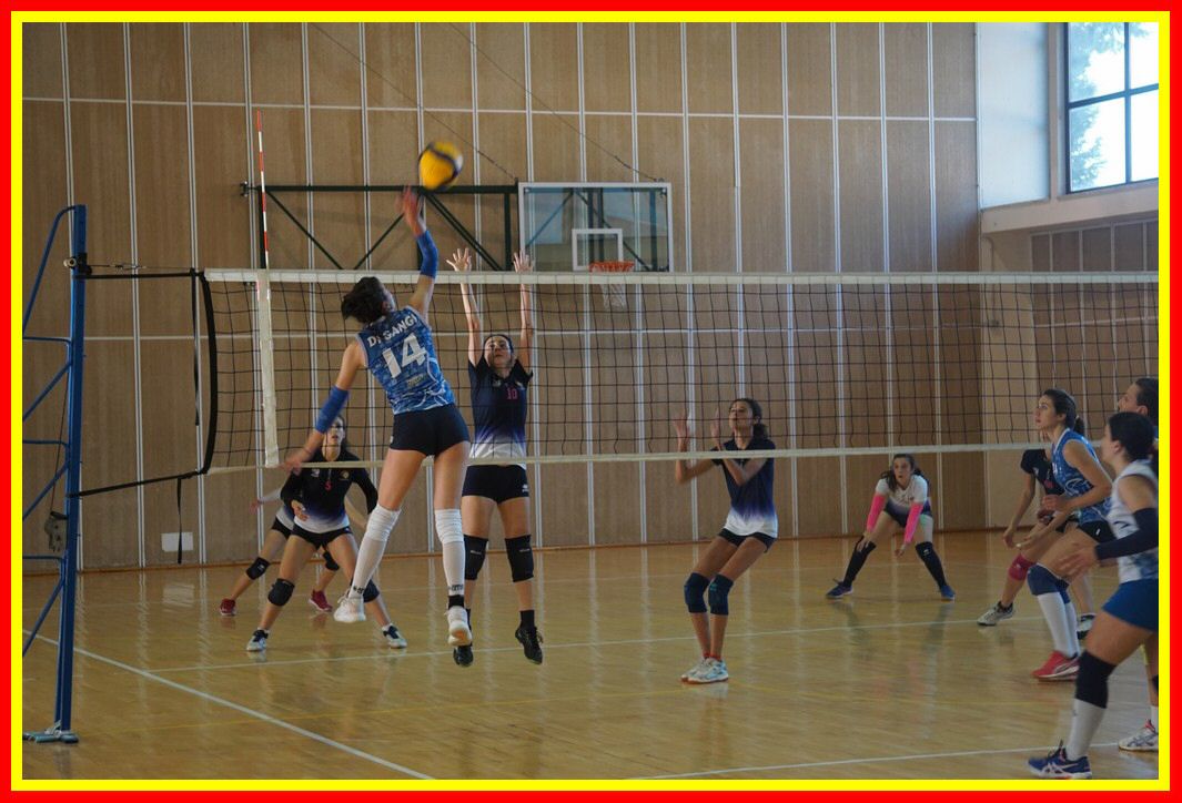DSC04150_tn.jpg