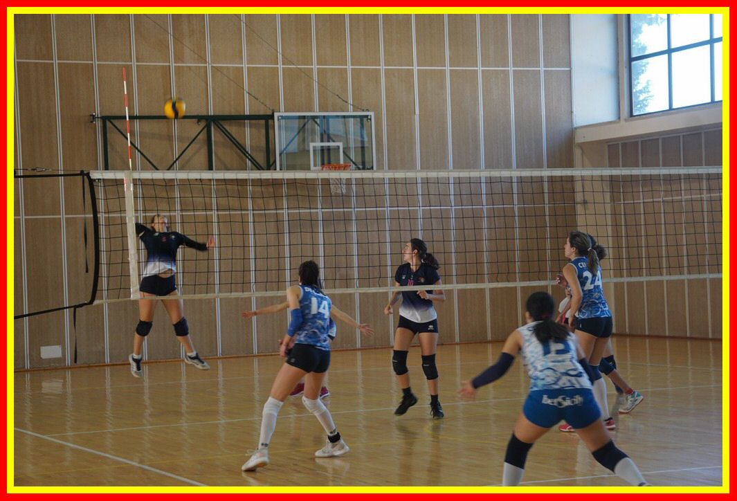 DSC04151_tn.jpg