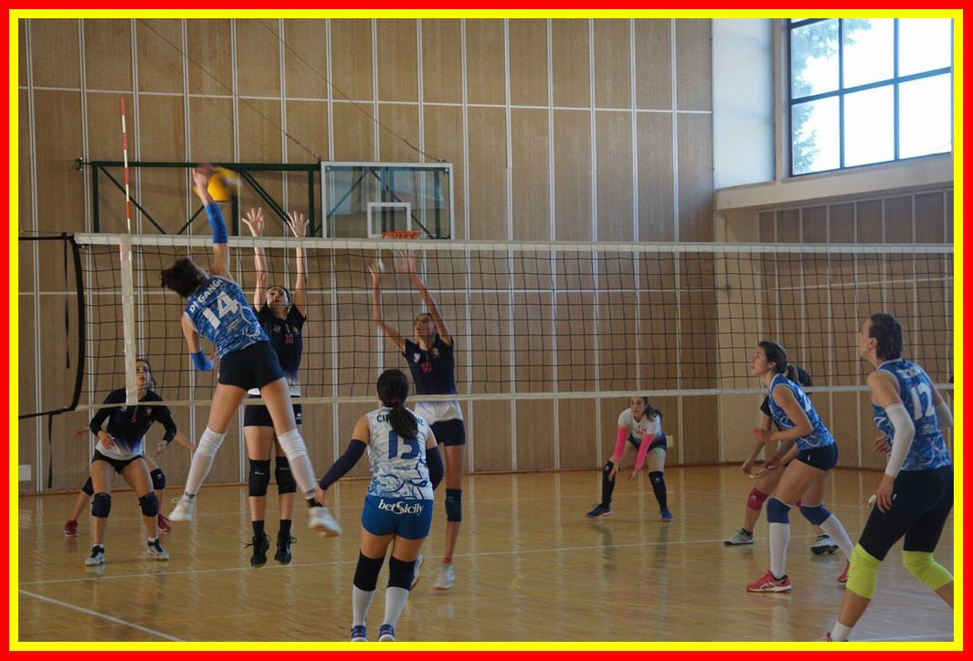 DSC04152_tn.jpg