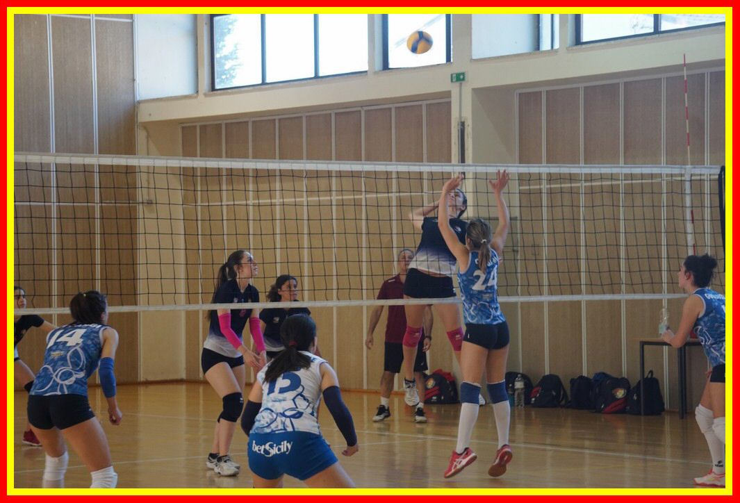 DSC04156_tn.jpg