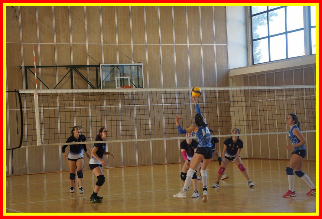 DSC04157_tn.jpg