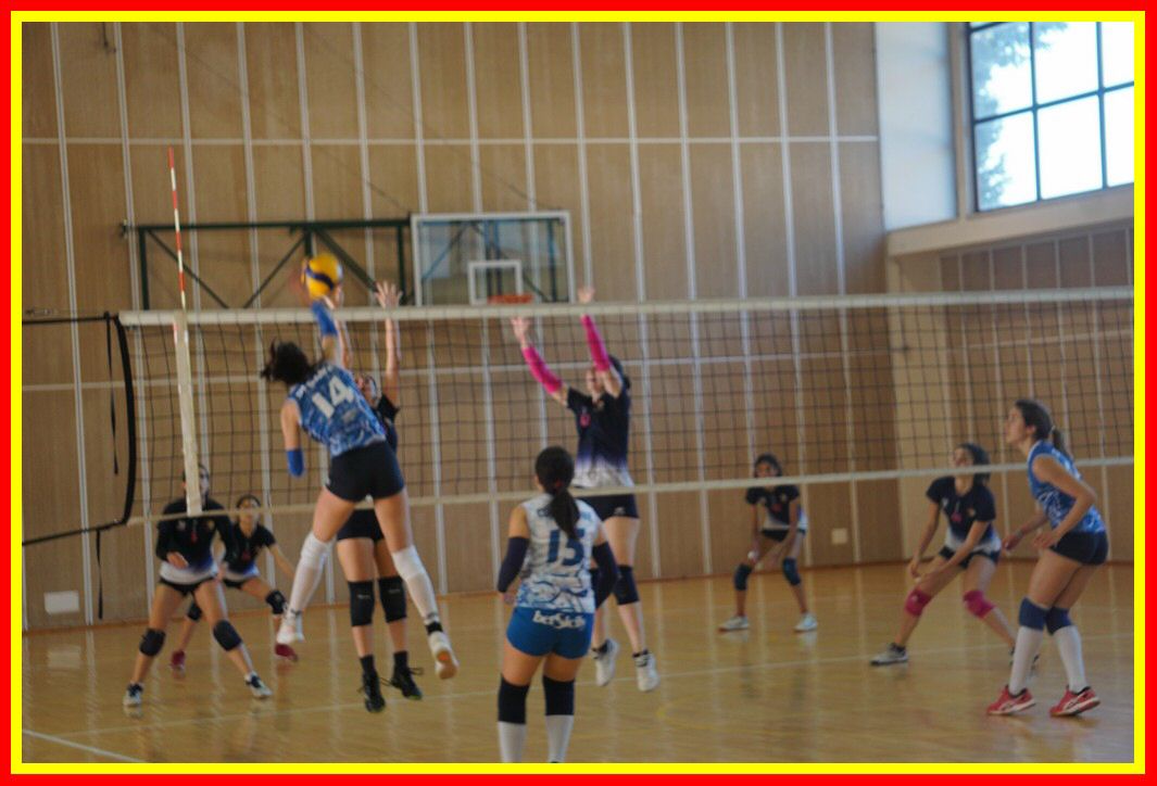 DSC04158_tn.jpg