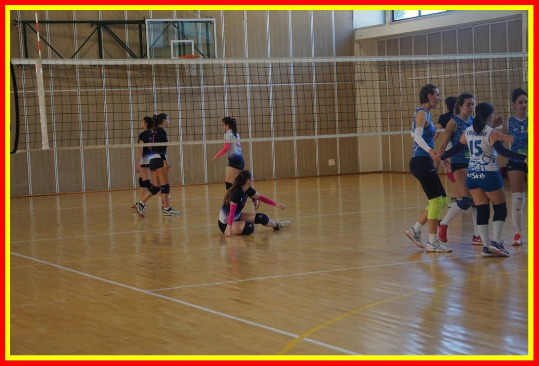 DSC04161_tn.jpg