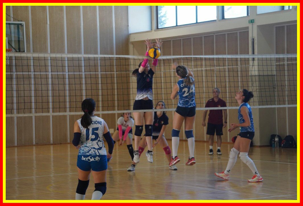 DSC04163_tn.jpg
