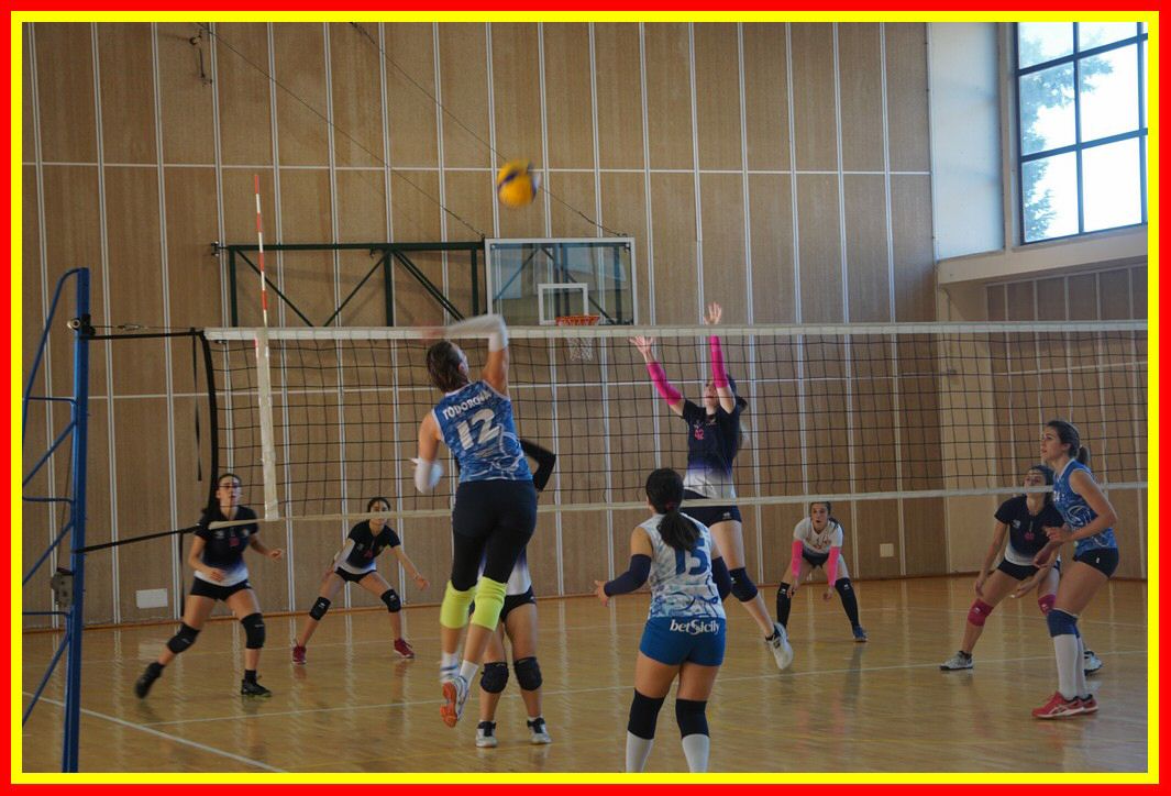 DSC04164_tn.jpg