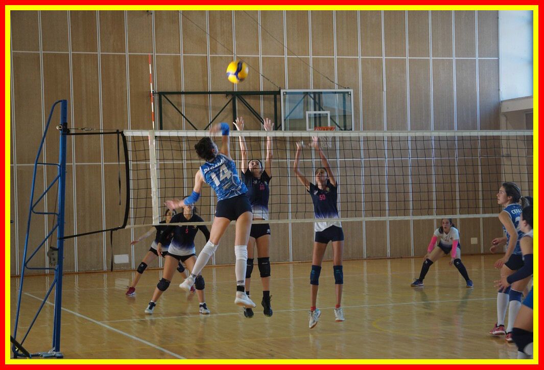 DSC04189_tn.jpg