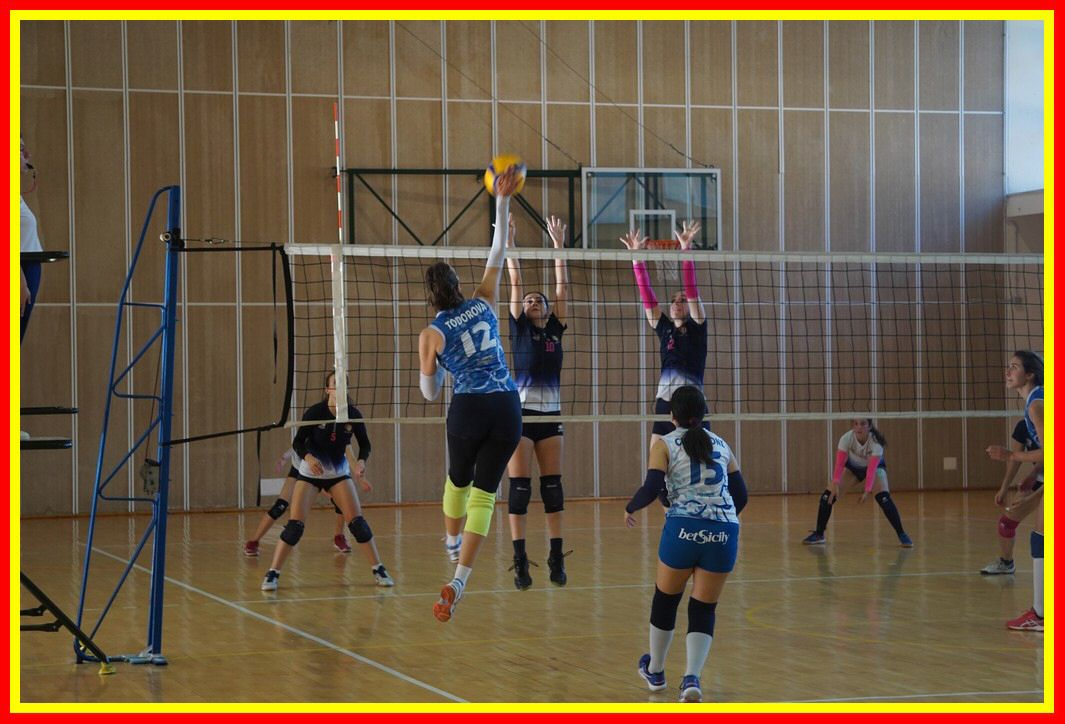 DSC04195_tn.jpg