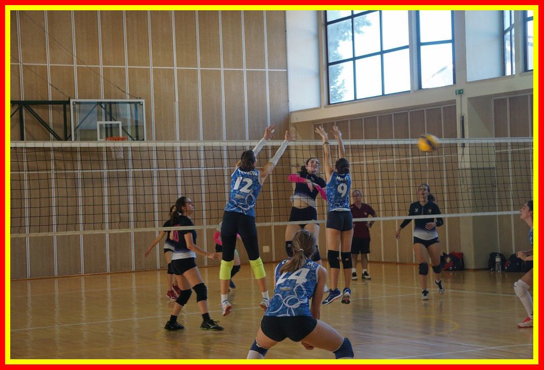 DSC04201_tn.jpg