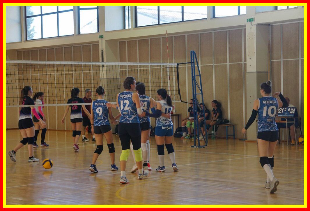 DSC04202_tn.jpg