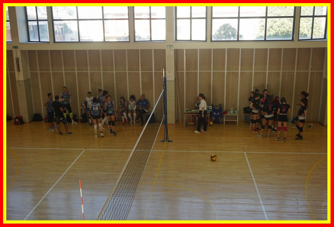 DSC04210_tn.jpg