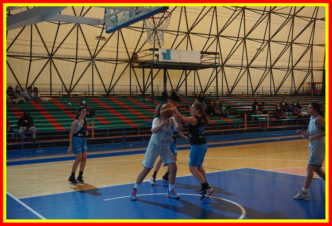 DSC04379_tn.jpg