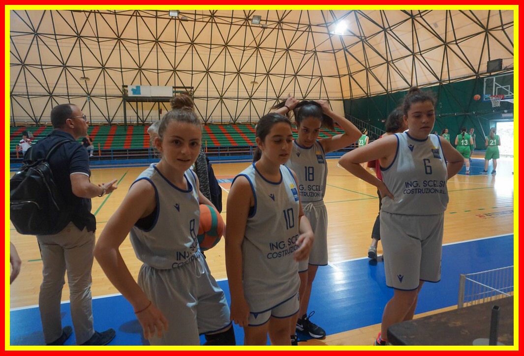 DSC03875_tn.jpg