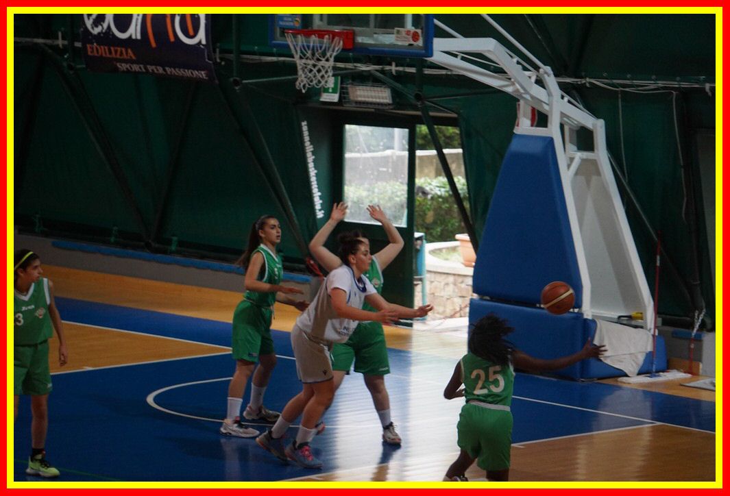 DSC03938_tn.jpg