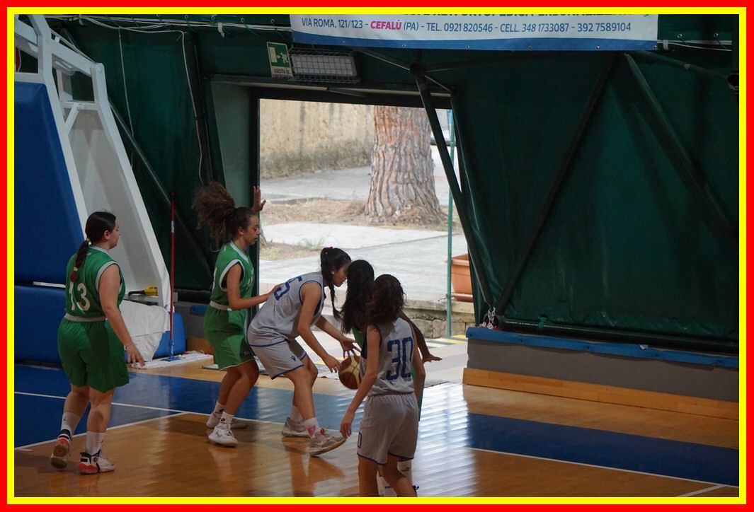 DSC03939_tn.jpg