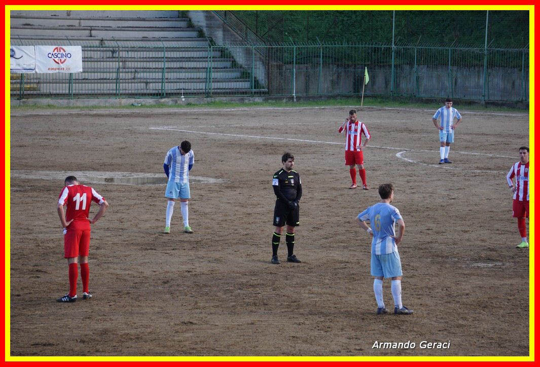 DSC02511_tn.jpg