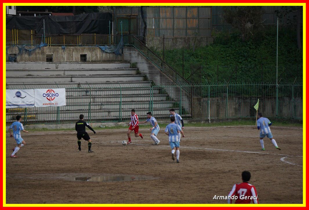 DSC02549_tn.jpg
