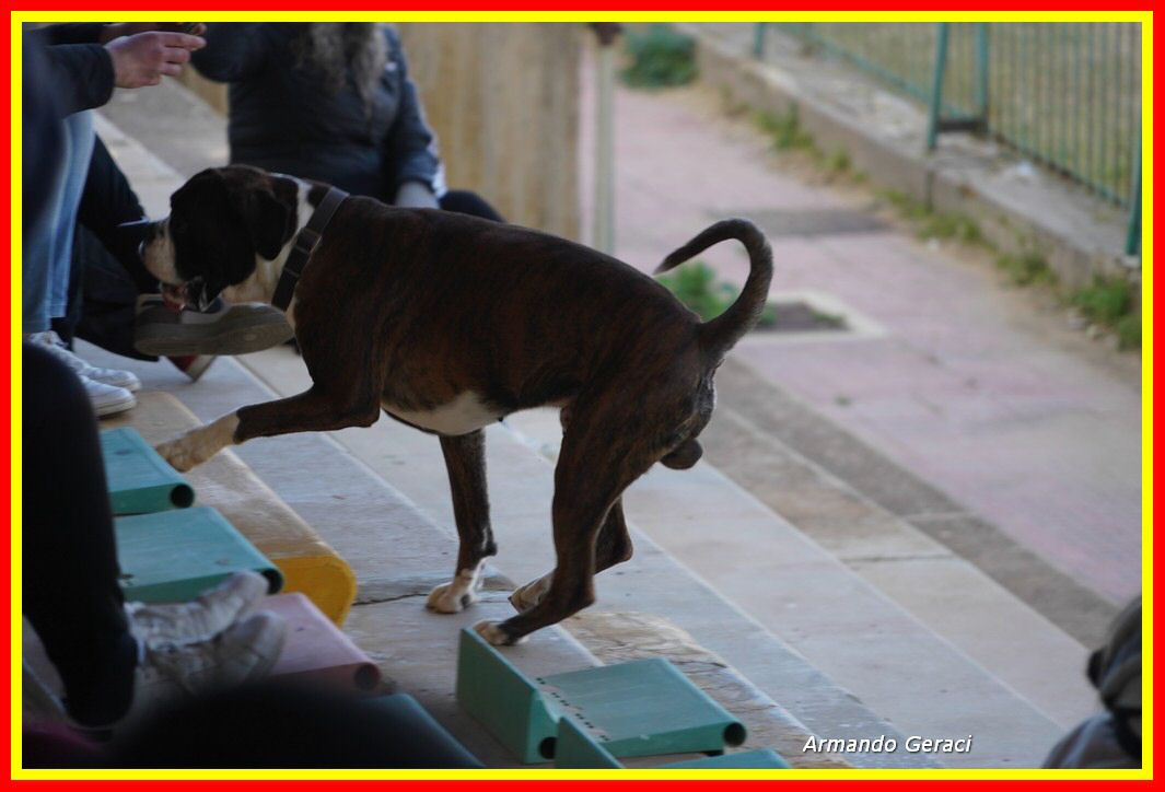 230205_LascariCef_Villarosa_0095.JPG