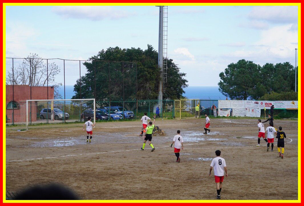 DSC01235_tn.JPG