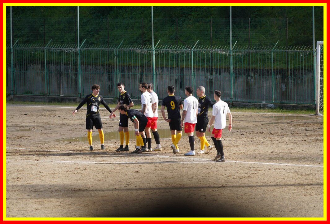 DSC01240_tn.JPG