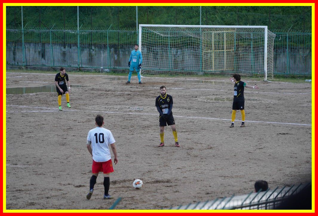 DSC01246_tn.JPG