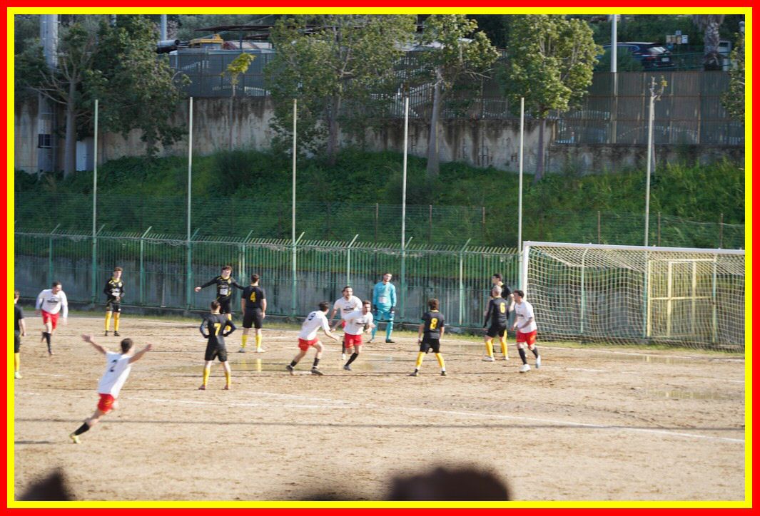 DSC01263_tn.JPG