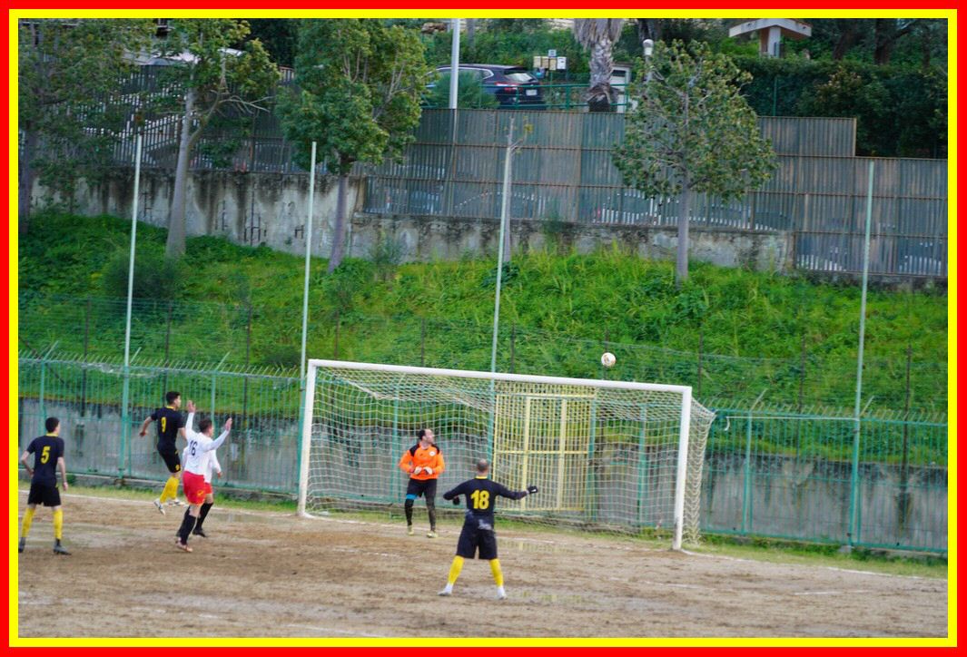 DSC01311_tn.JPG
