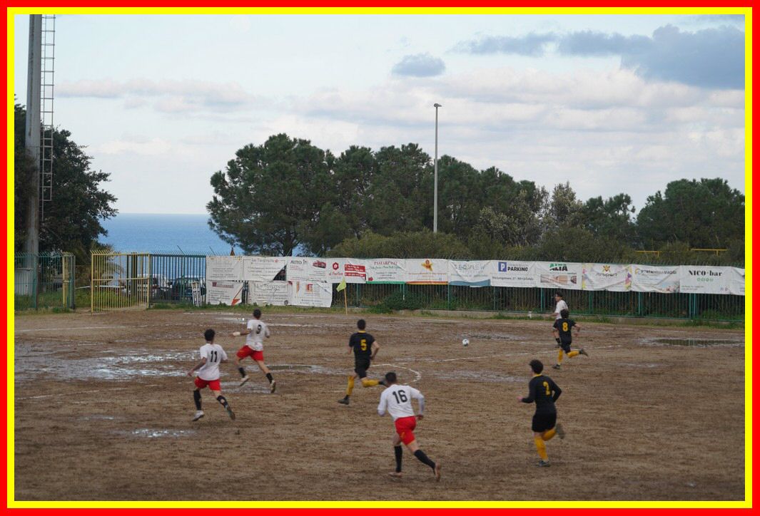 DSC01316_tn.JPG