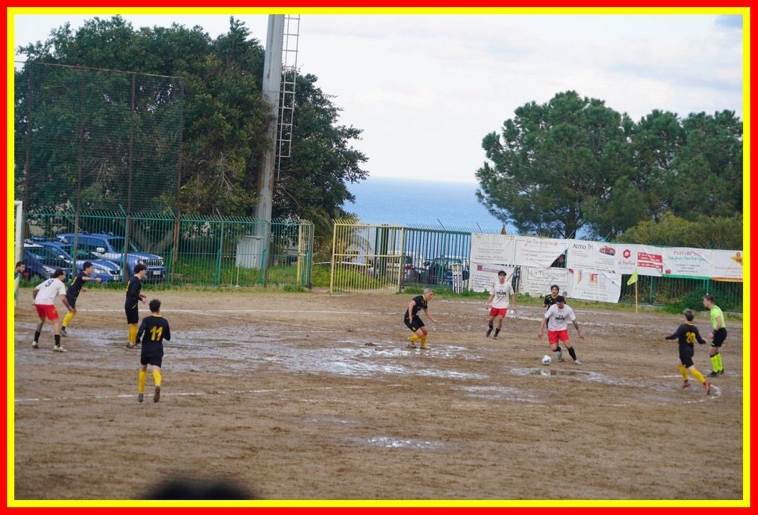 DSC01318_tn.JPG