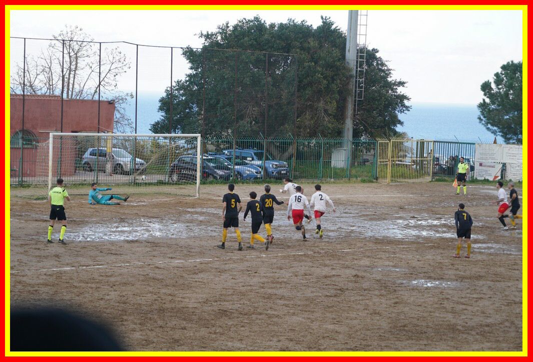 DSC01335_tn.JPG