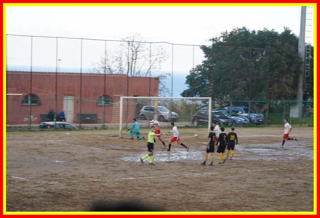 DSC01339_tn.JPG