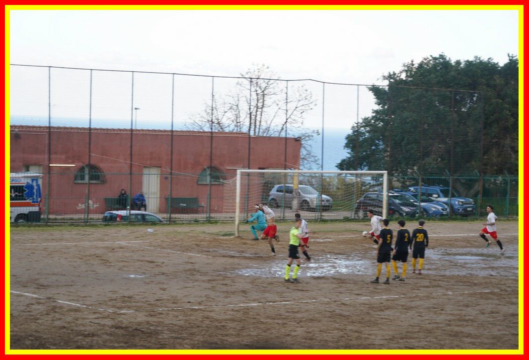 DSC01340_tn.JPG