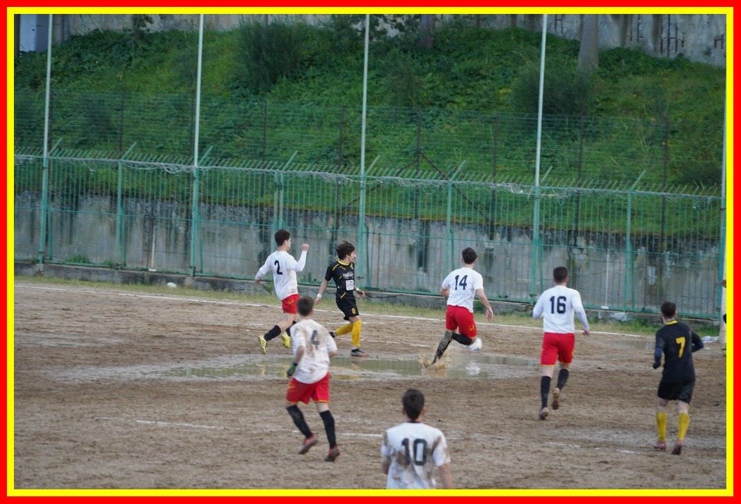 DSC01360_tn.JPG