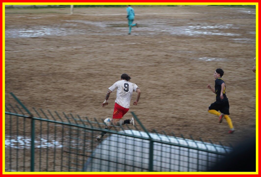 DSC01367_tn.JPG