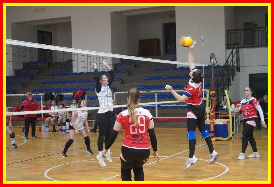 240127_CefaluVolley_2DF_092.JPG