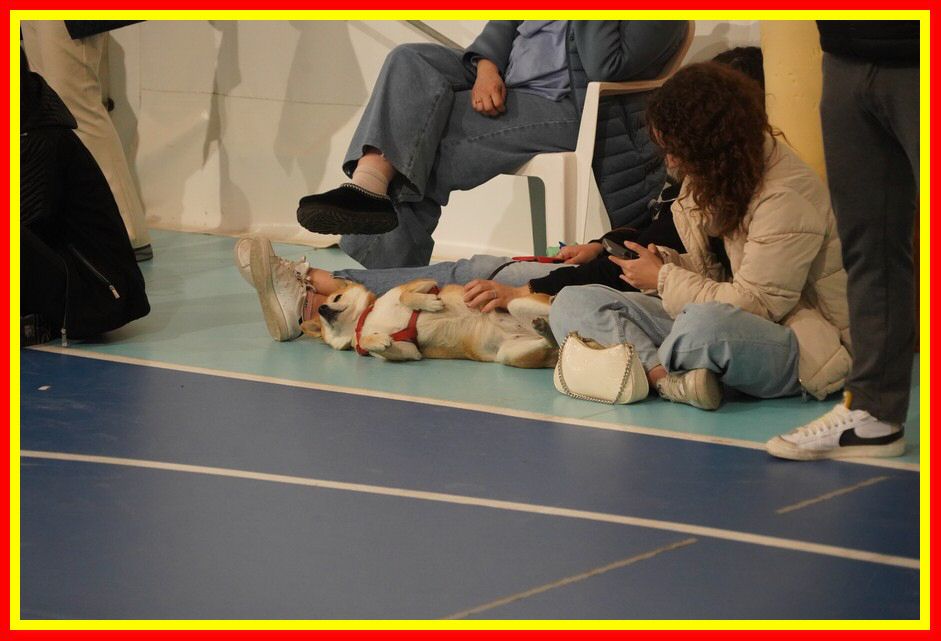 240406_Lascari_CefaluVolley_2DF_153.JPG