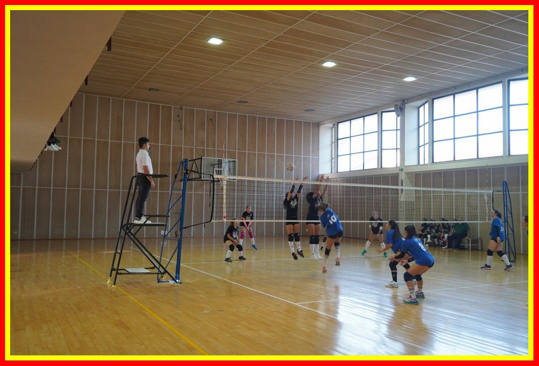 231023_Kepha_Pomaralva_059.JPG