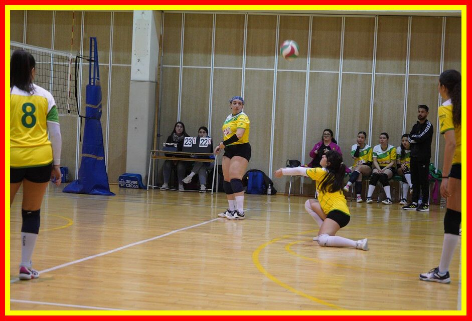 240307_Kepha_Alimena_3DF_086.JPG
