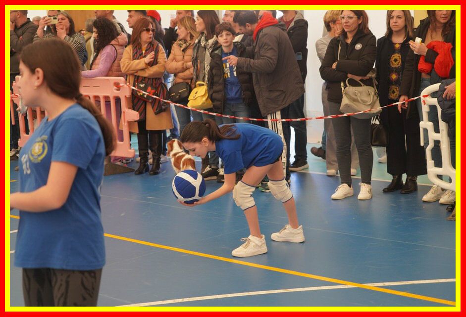 240317_Raduno_minivolley_053.jpg
