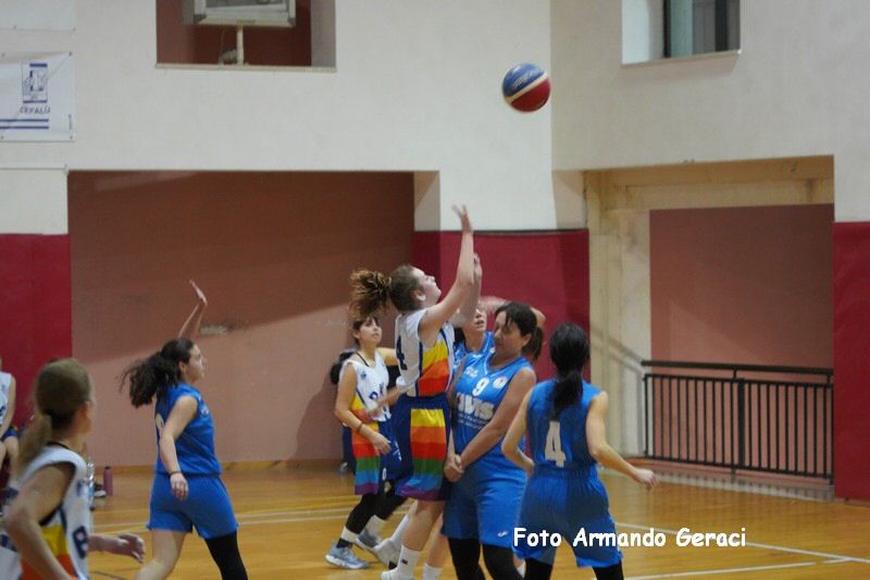 DSC03083_tn.jpg