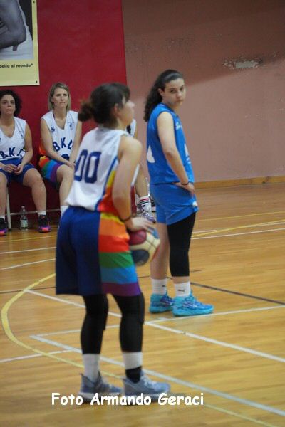 DSC03088_tn.jpg