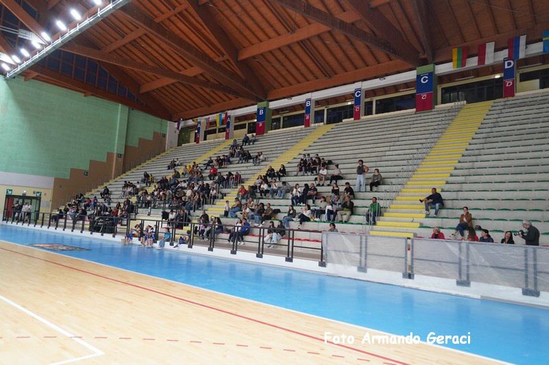 DSC06753_tn.jpg